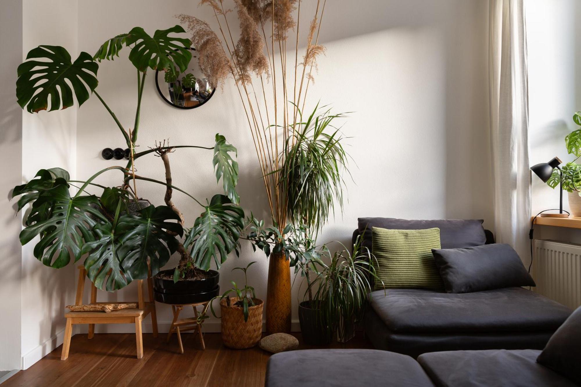 Evergreen - Old Town Spacious Stylish Apartment With Ac And One And A Half Bath, Baby & Kid- Friendly Bratislava Exteriér fotografie