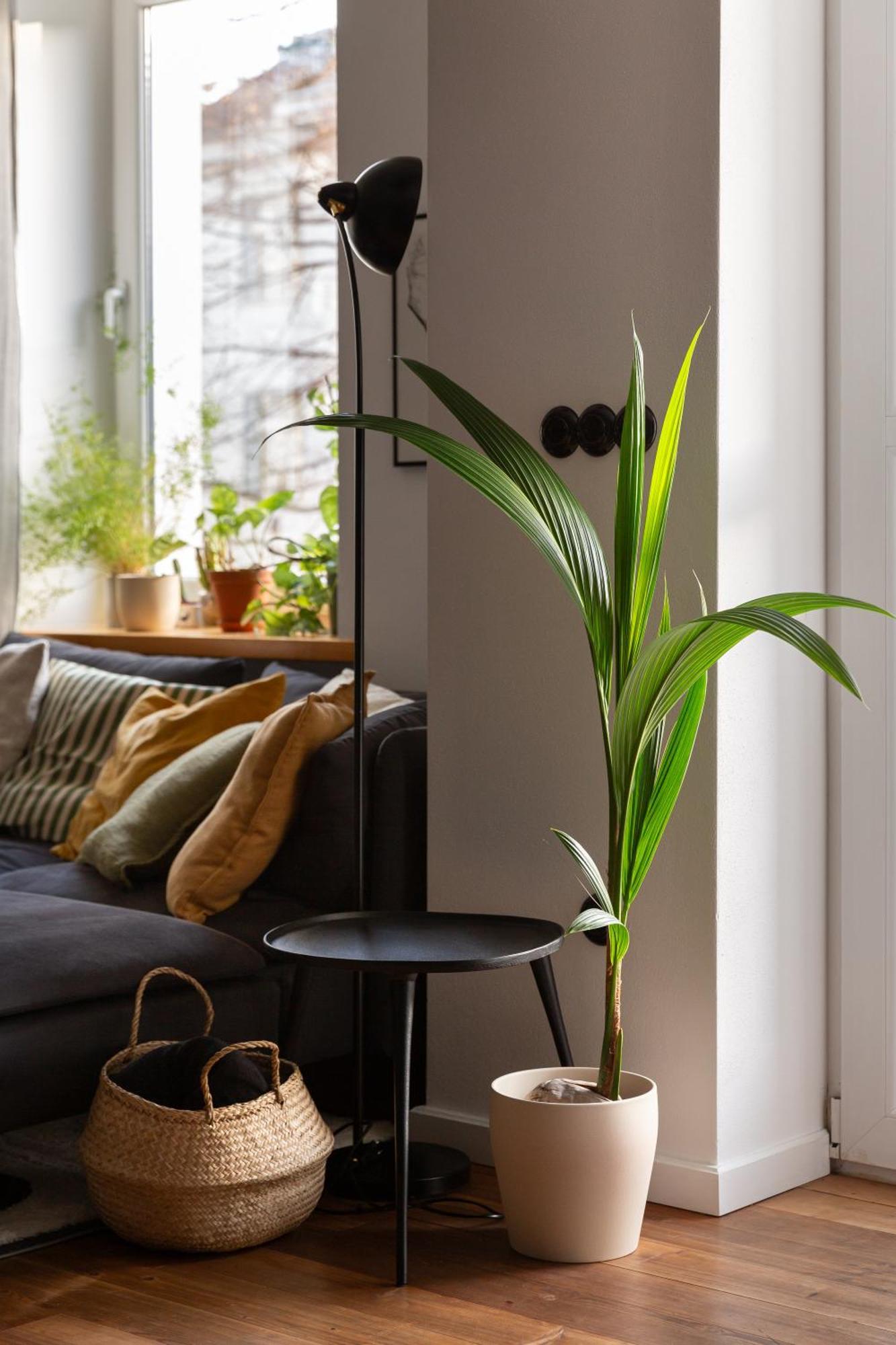Evergreen - Old Town Spacious Stylish Apartment With Ac And One And A Half Bath, Baby & Kid- Friendly Bratislava Exteriér fotografie