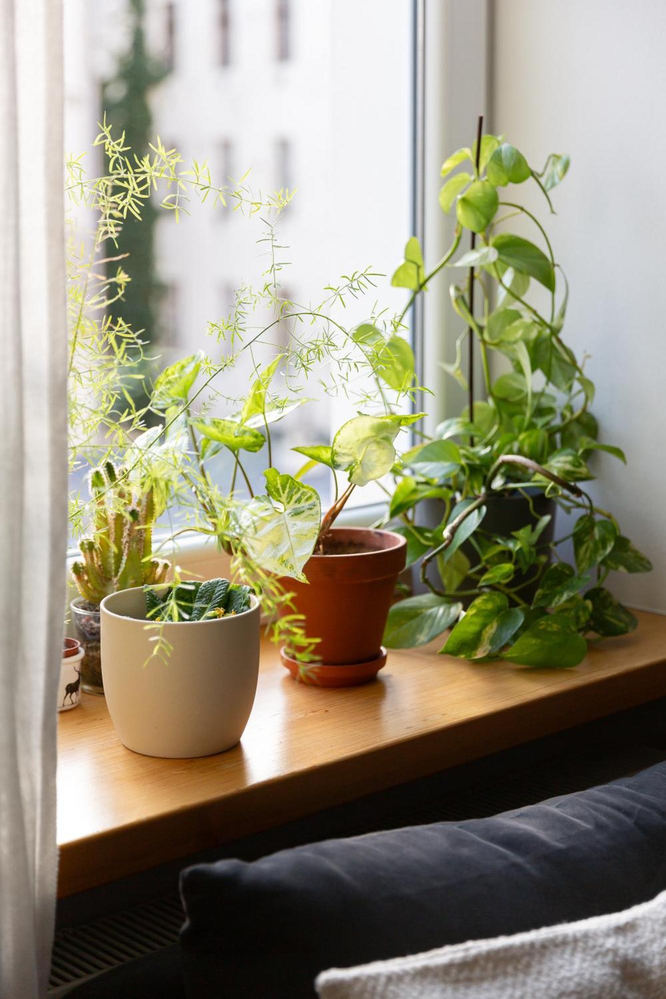 Evergreen - Old Town Spacious Stylish Apartment With Ac And One And A Half Bath, Baby & Kid- Friendly Bratislava Exteriér fotografie
