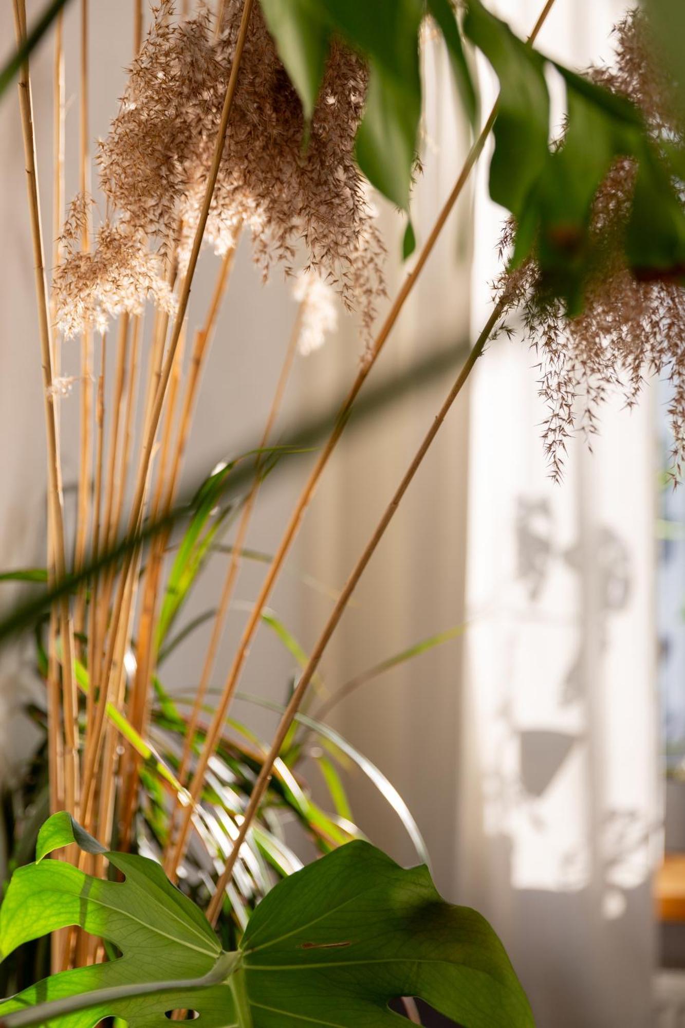Evergreen - Old Town Spacious Stylish Apartment With Ac And One And A Half Bath, Baby & Kid- Friendly Bratislava Exteriér fotografie
